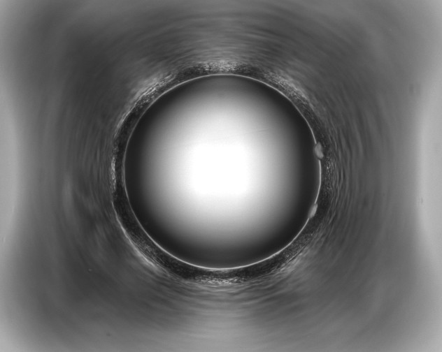 X0000086880638200704300937