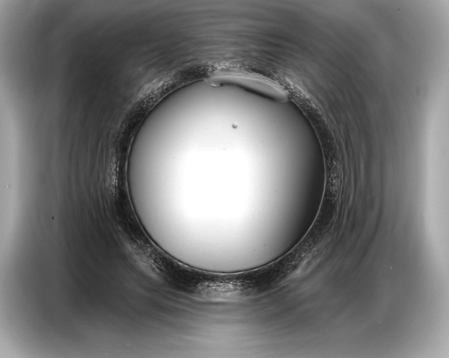 X0000086880639200704300937