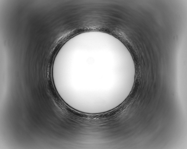 X0000086880640200704300937