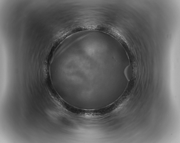 X0000086880641200704300937