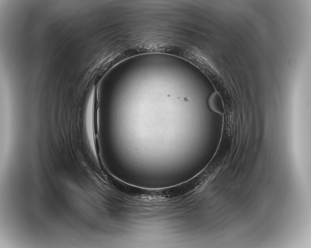 X0000086880644200704300938