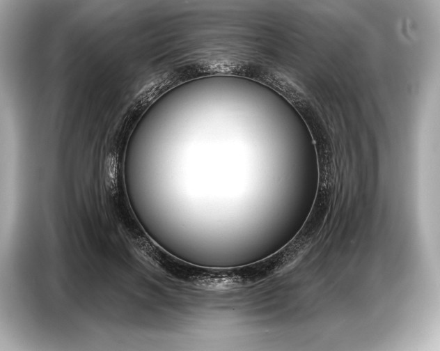 X0000086880646200704300938