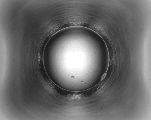 X0000086880647200704300938