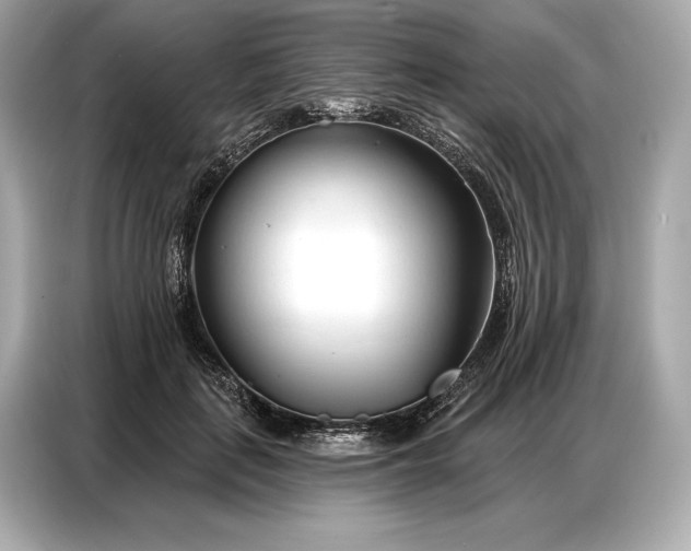 X0000086880651200704300938