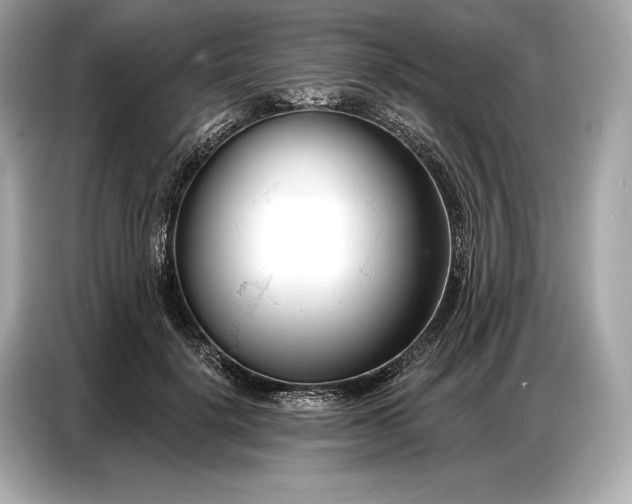 X0000086880652200704300938