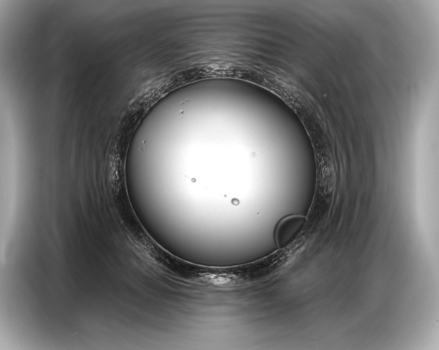 X0000086880654200704300938