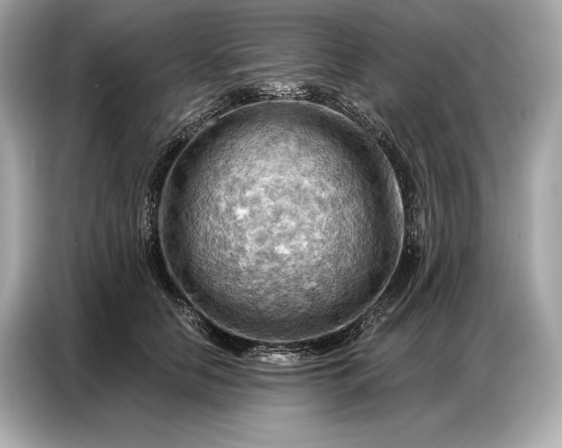 X0000086880658200704300938