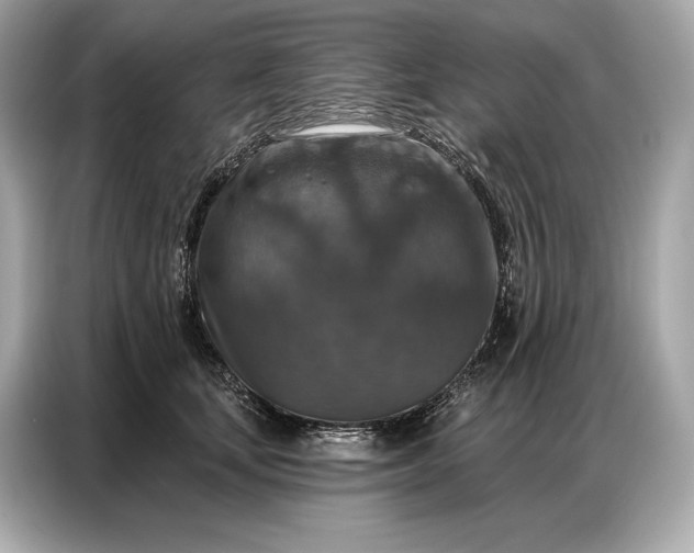 X0000086880659200704300938