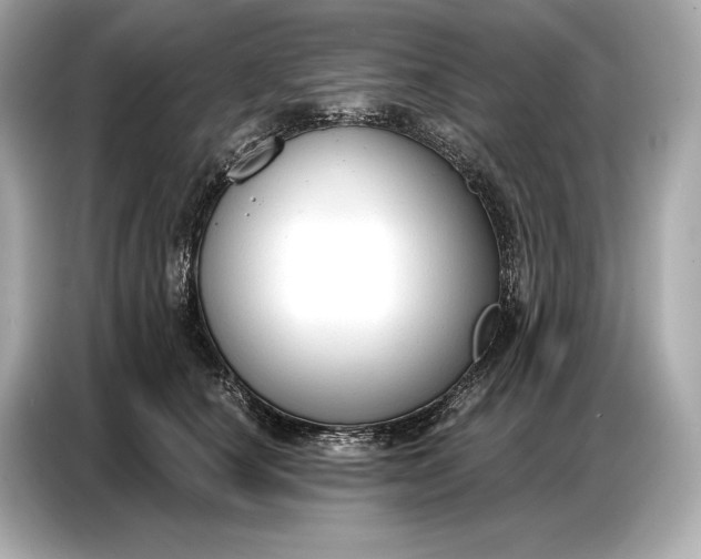 X0000086880660200704300938