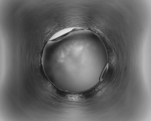 X0000086880661200704300938