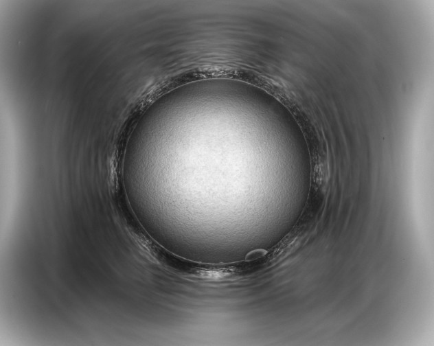 X0000086880662200704300938