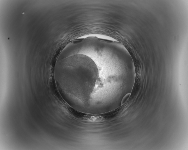 X0000086880663200704300938