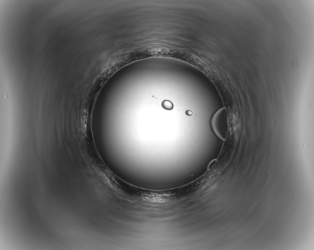 X0000086880664200704300938