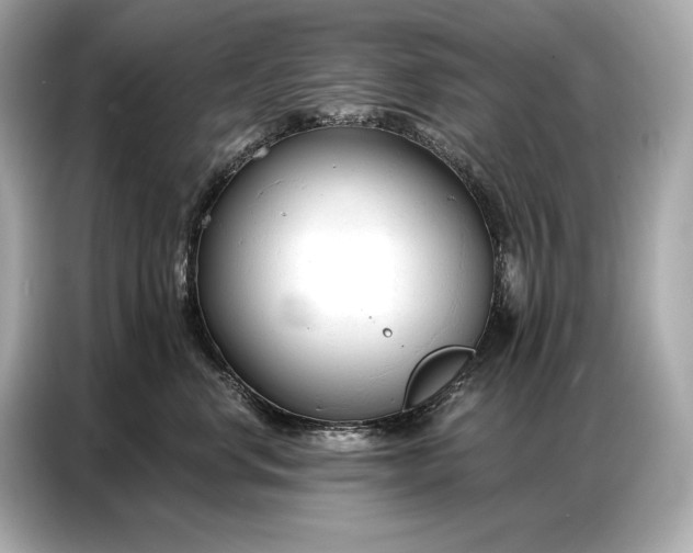 X0000086880668200704300938