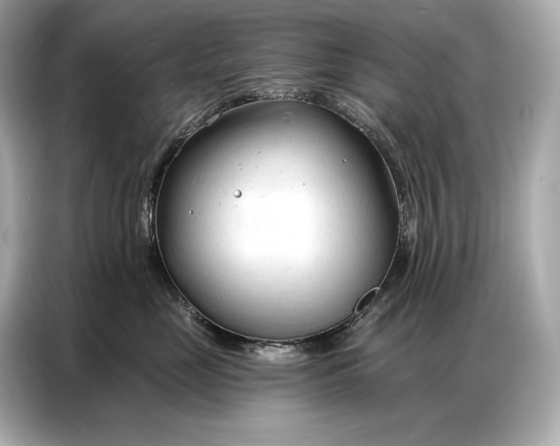 X0000086880669200704300938