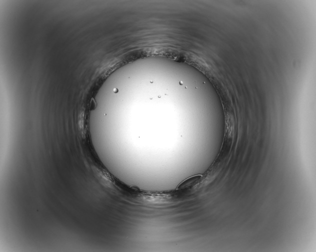 X0000086880670200704300938