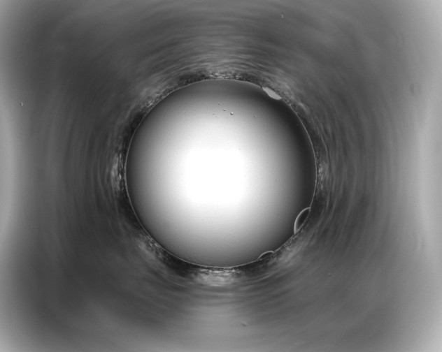 X0000086880671200704300938