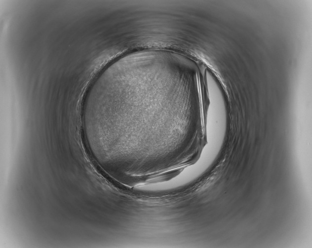 X0000086880673200704300937