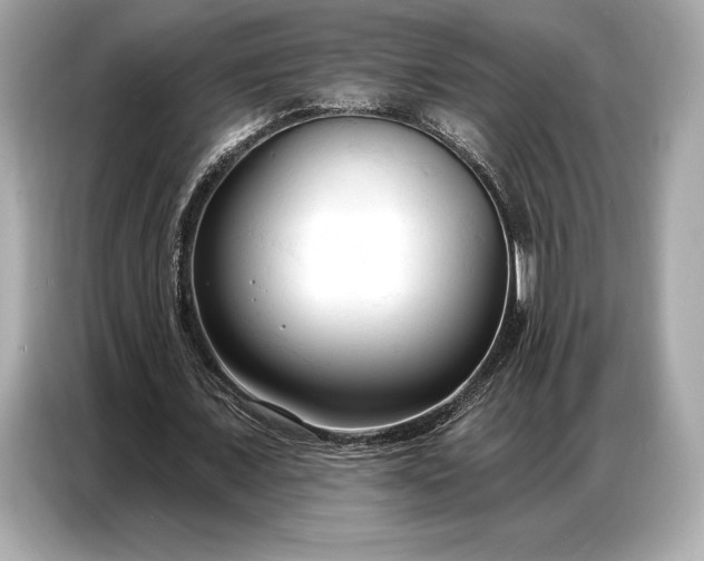 X0000086880675200704300937