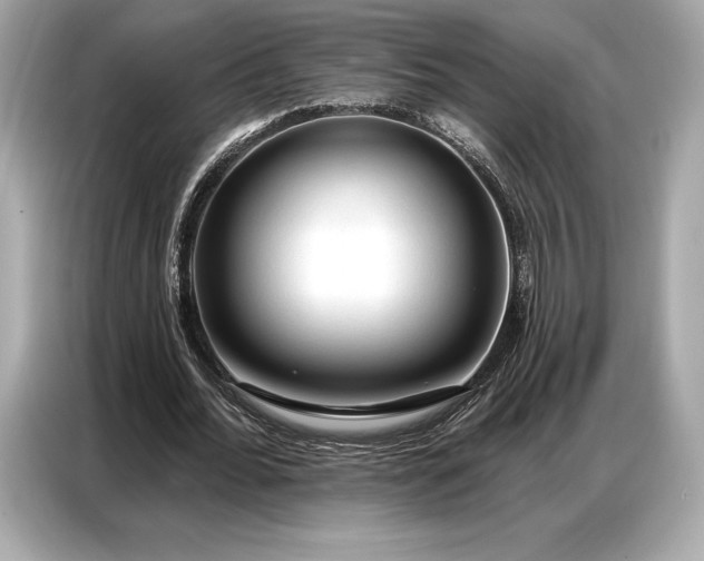 X0000086880676200704300937