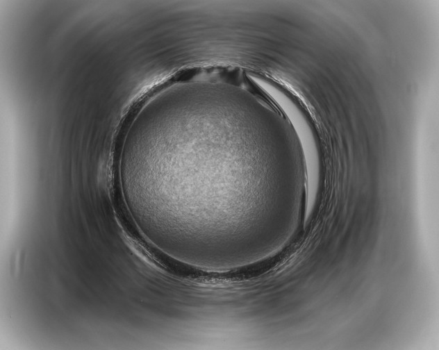 X0000086880677200704300937