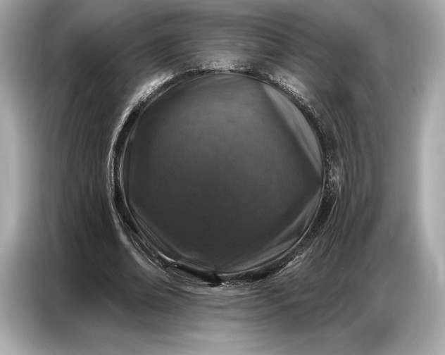 X0000086880678200704300937