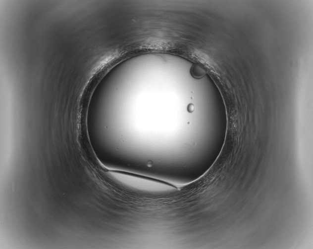 X0000086880679200704300937