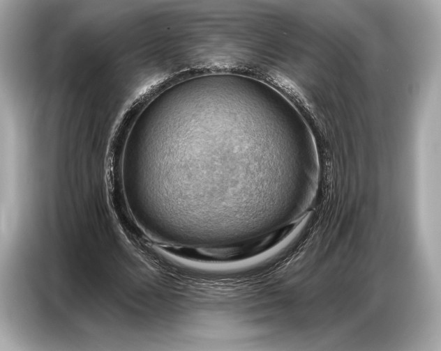 X0000086880680200704300937