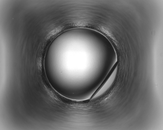 X0000086880681200704300937