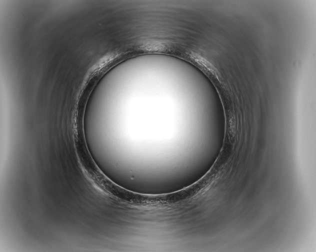 X0000086880682200704300937