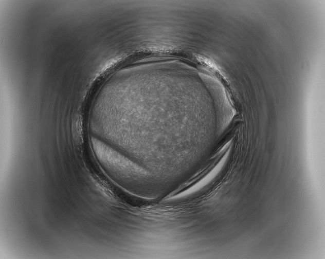 X0000086880684200704300937