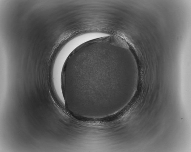 X0000086880685200704300937