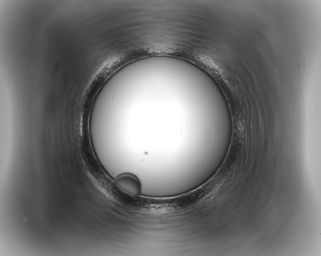 X0000086880686200704300937