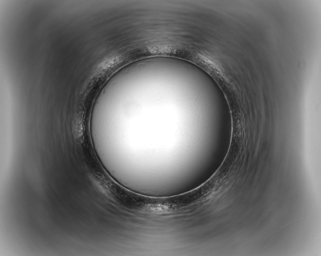 X0000086880687200704300937