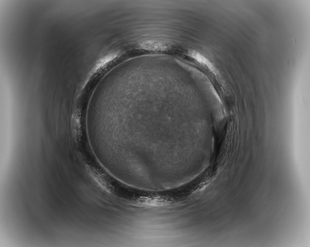 X0000086880688200704300937