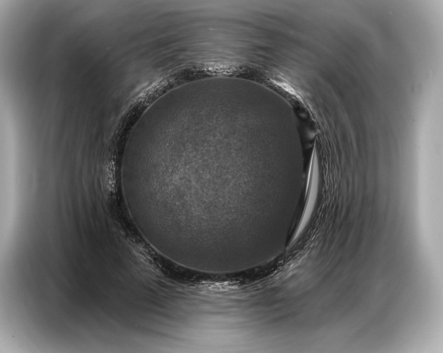 X0000086880689200704300937