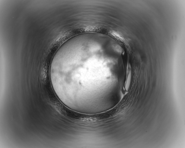 X0000086880691200704300937