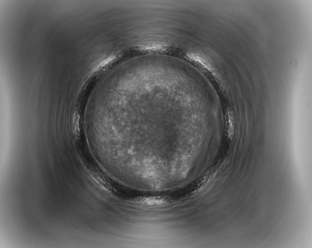 X0000086880692200704300937