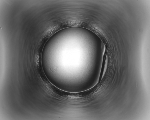 X0000086880693200704300937