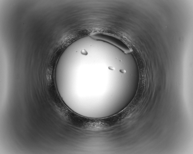 X0000086880695200704300937