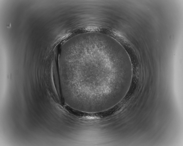 X0000086880696200704300937