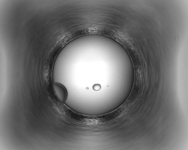 X0000086880698200704300937