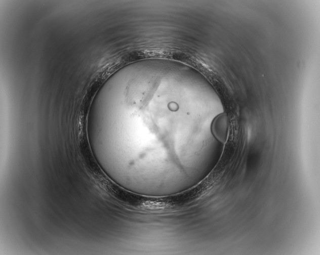 X0000086880699200704300937