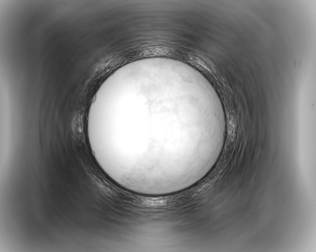 X0000086880701200704300937