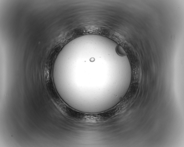 X0000086880703200704300937