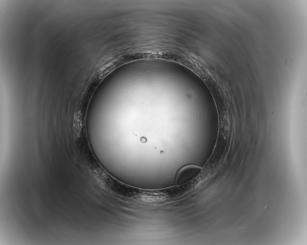 X0000086880707200704300937