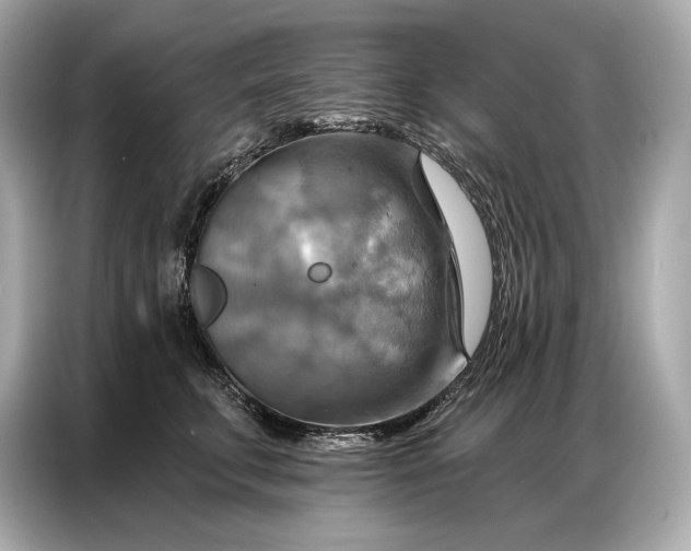 X0000086880711200704300937