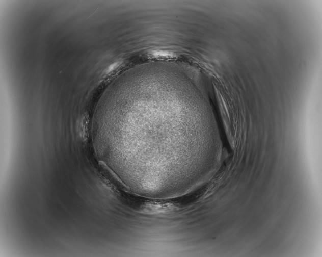 X0000086880712200704300937