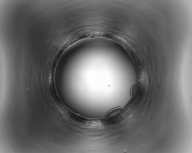 X0000086880715200704300937