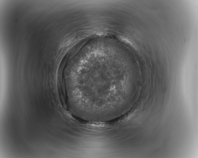 X0000086880720200704300937